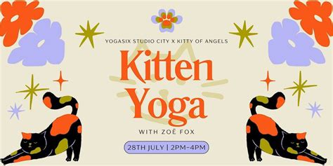 yoga six studio city